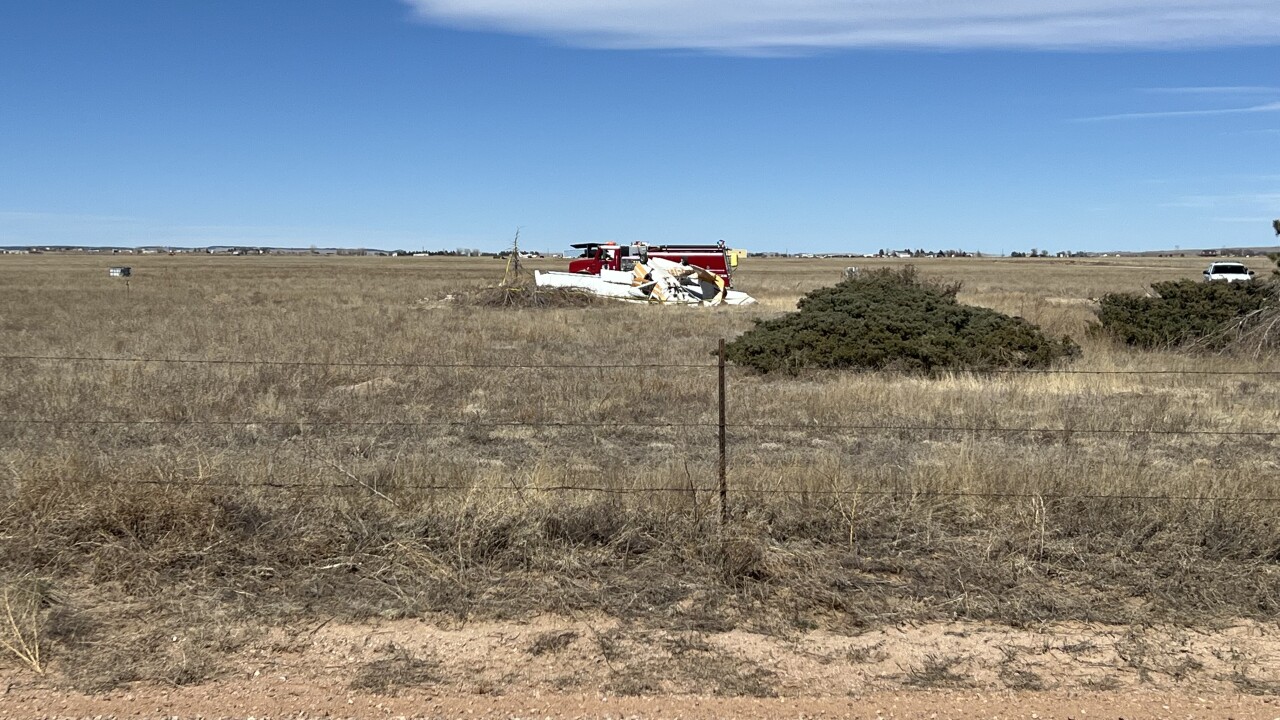 Ellicott Plane Crash