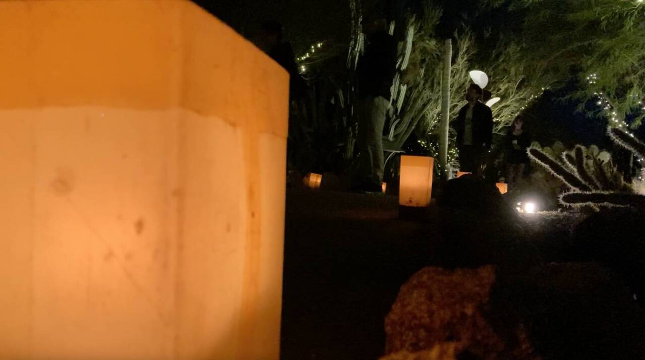 Las Noches de las Luminarias at the desert botanical garden runs until December 31st.