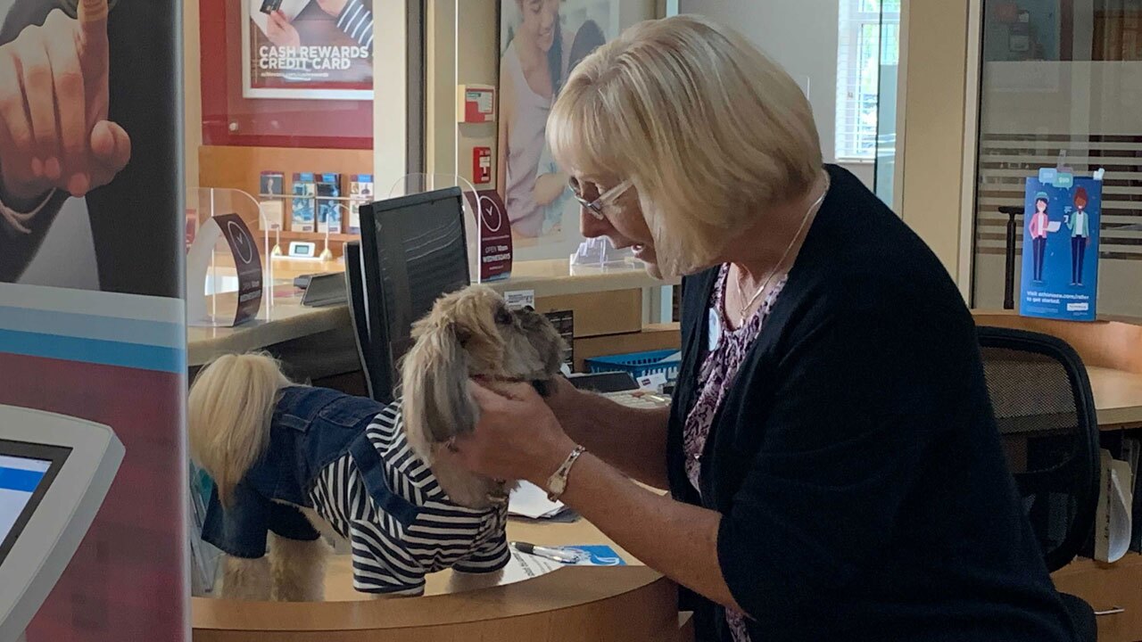 Pasco-bank-dog-2-WFTS-BOYD-PKG.jpg