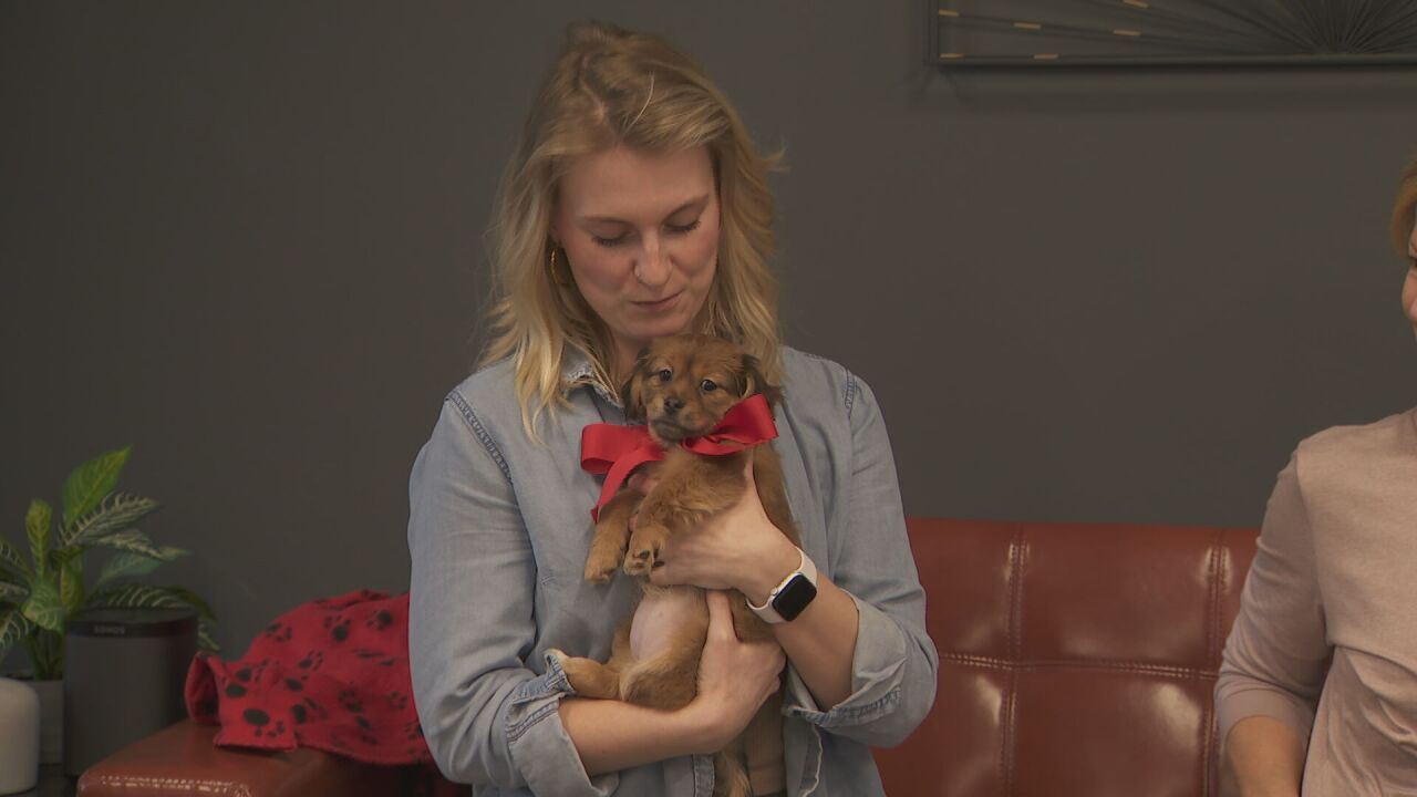 give the gift of puppy