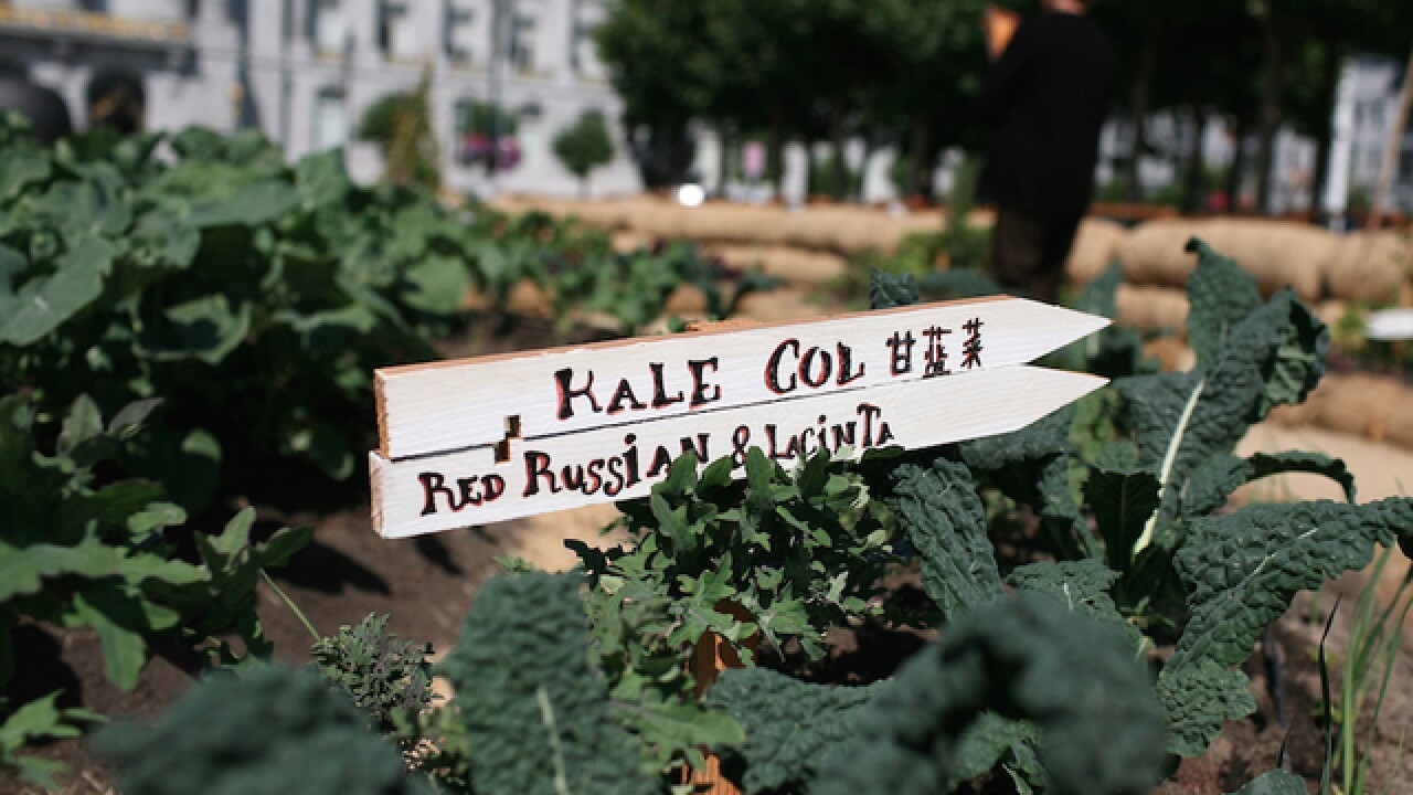 8 foods to help improve athletic performance