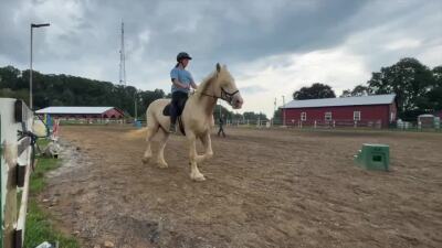 Century-old Baltimore farm threatened by power line project that could disrupt educational mission