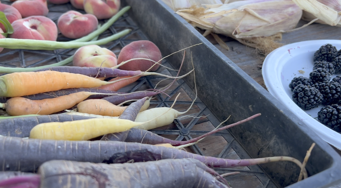 Vegetables