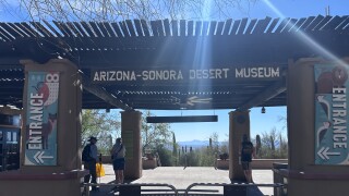 AZ SONORA DESERT MUSEUM