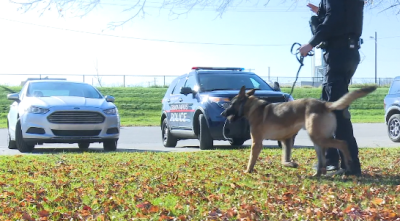 grpd k9 1.png
