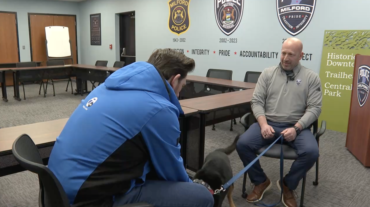 Screenshot 2026-02-19 at 5.37.27 PM.png