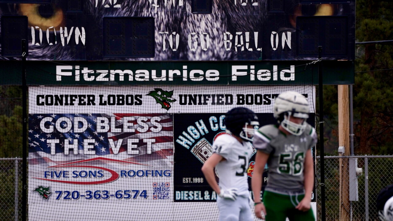 Fitzmaurice Field.jpg