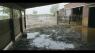 New documentary spotlights Billings horse rescue's flood recovery