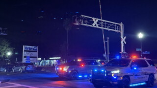 harbor bar shooting