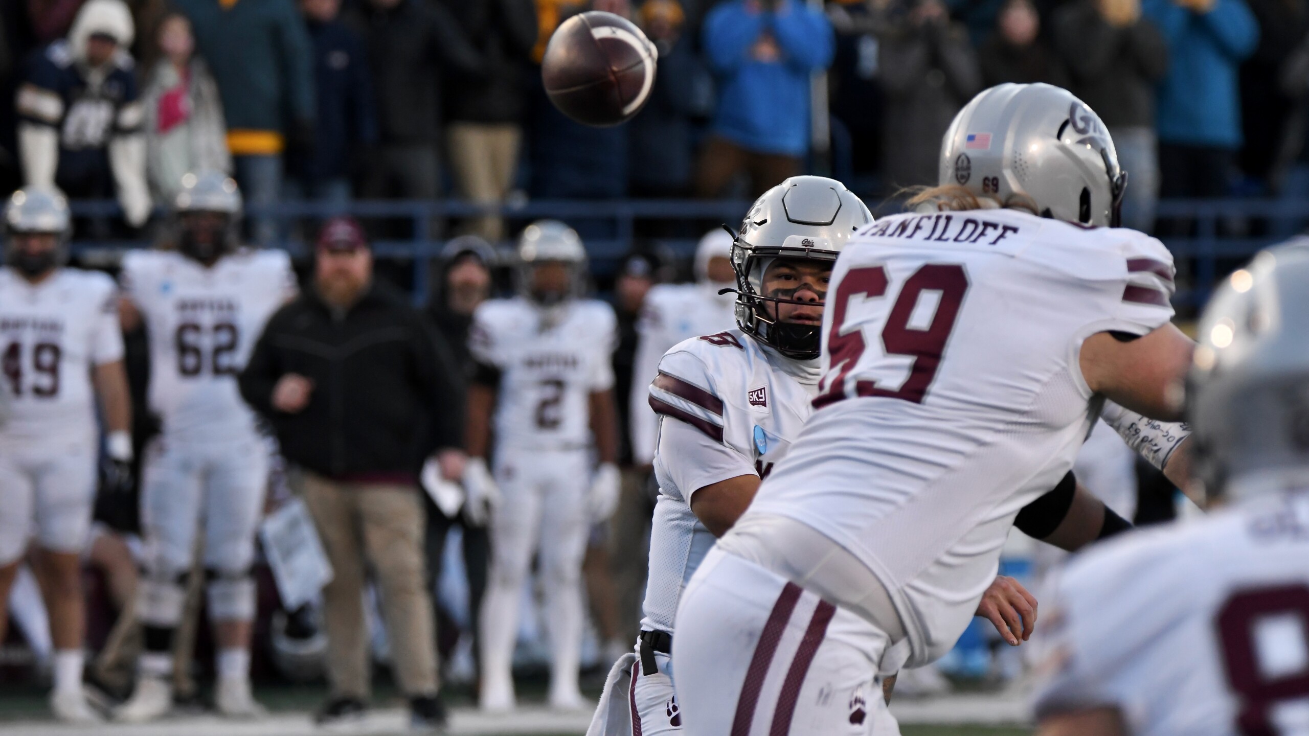 Montana at Montana State