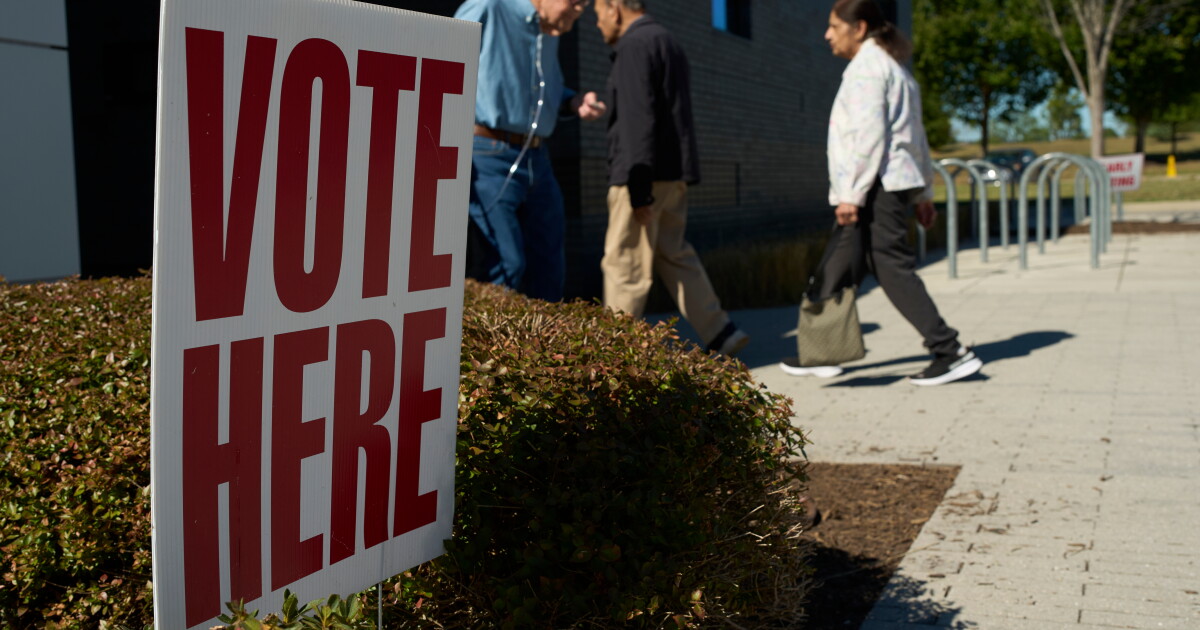 Who's watching the vote? A guide to poll watchers, observers and monitors in 2026