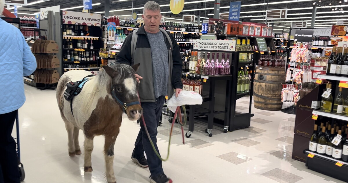Big help from a little horse - Vimarsana News