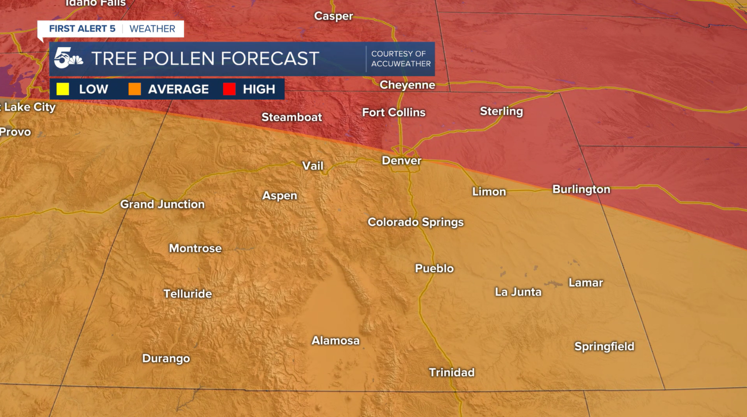 Tree pollen levels are on the rise: Here's a look at the forecast