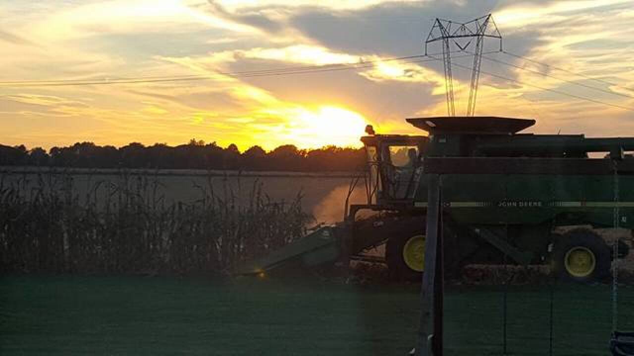 PHOTOS: Harvest time in Indiana