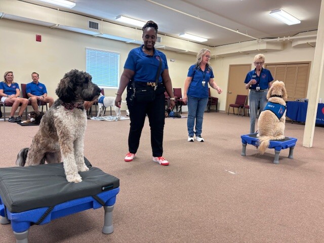 Caring K9s
