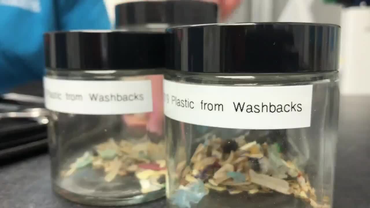 plastic pieces found in washback turtles at Gumbo Limbo Nature Center