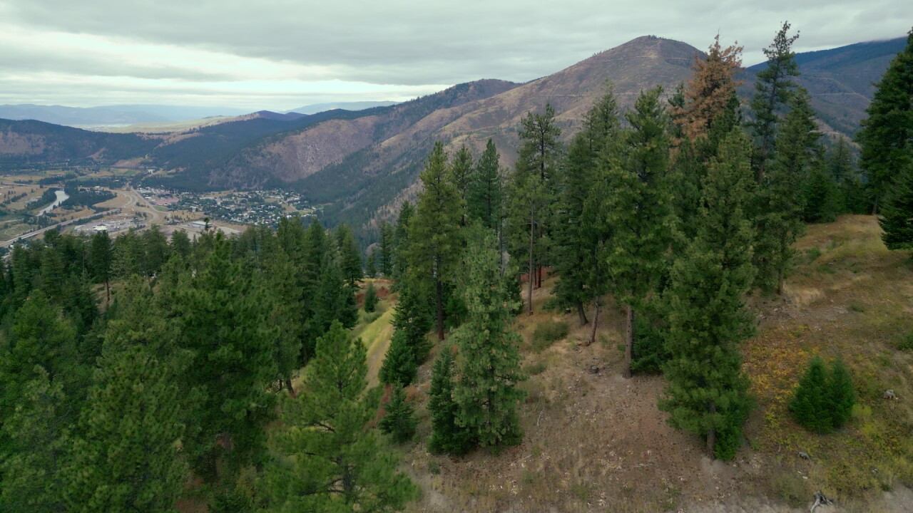 47528062-BONNER RIDGE 3.jpg