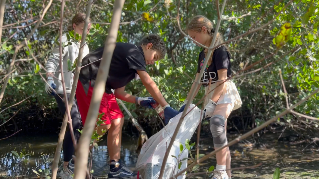 Students pick up 100 lbs of trash from St. Pete's Clam Bayou