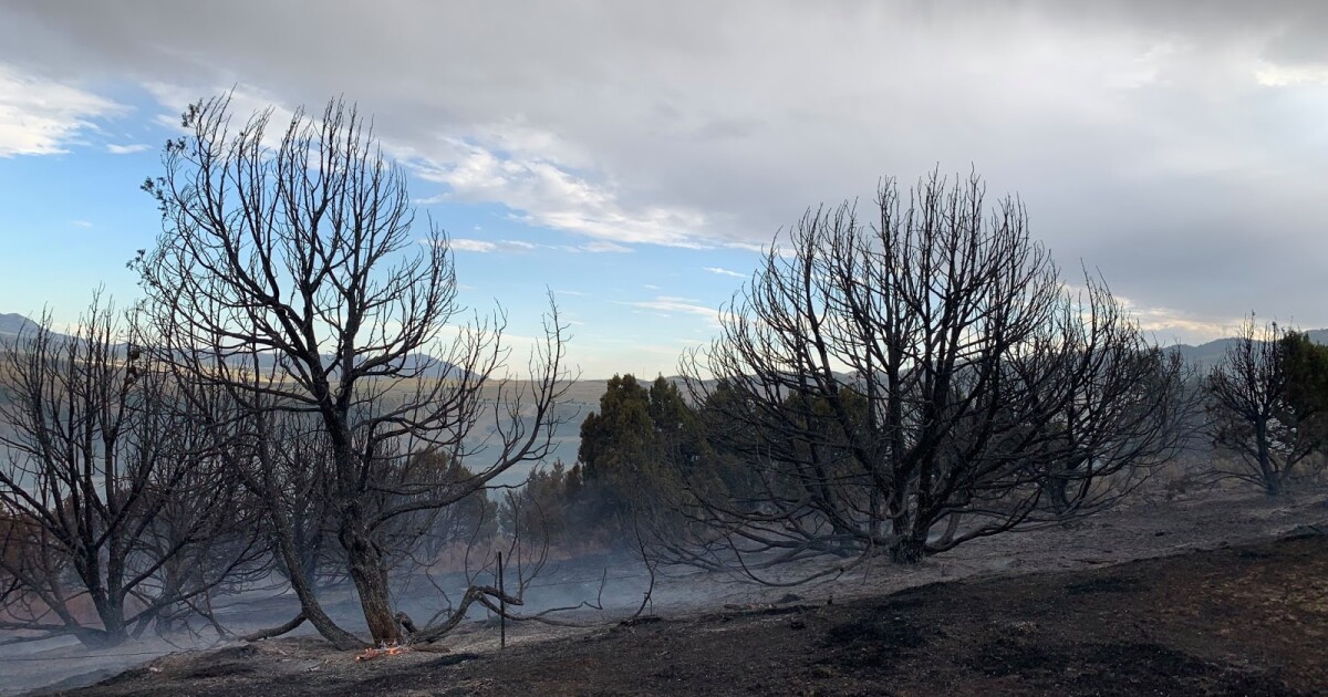 Car crash starts fire near Malad Summit