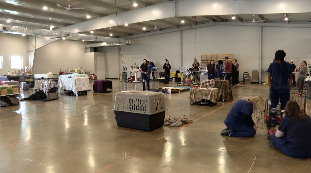 Students at local high schools are gaining hands-on experience helping with the event.