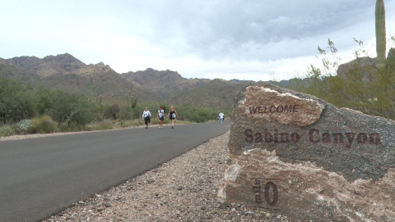 Sabino Canyon