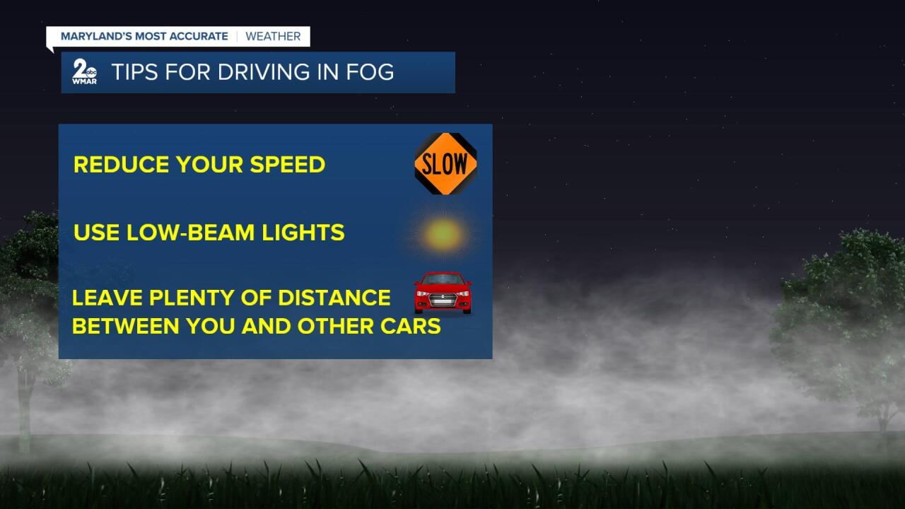 Fog Driving Tips.jpg