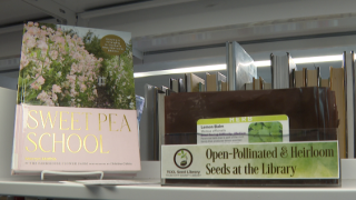 seed library.png