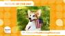 It's the Picture of the Day for September 2nd, 2025!