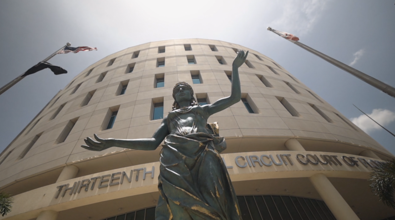 Court filing challenges use of Florida's 'Halo Law' in Riverview woman's arrest2.png