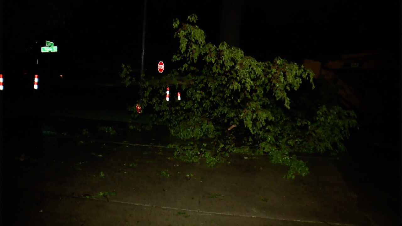 storm damage 2.jpg