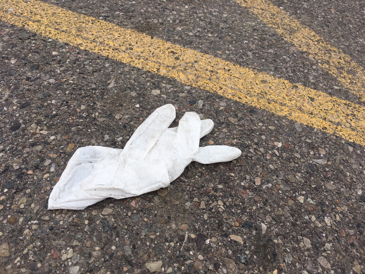 Meijer gloves 3.jpg