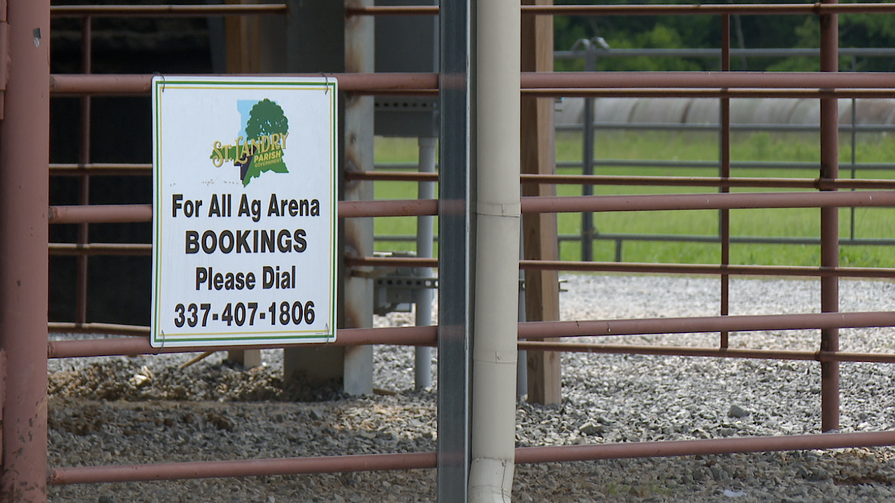 Future of trail rides in St. Landry Parish uncertain after weekend shootings