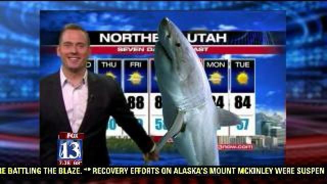 Producer’s Pick: Photoshop and sharks