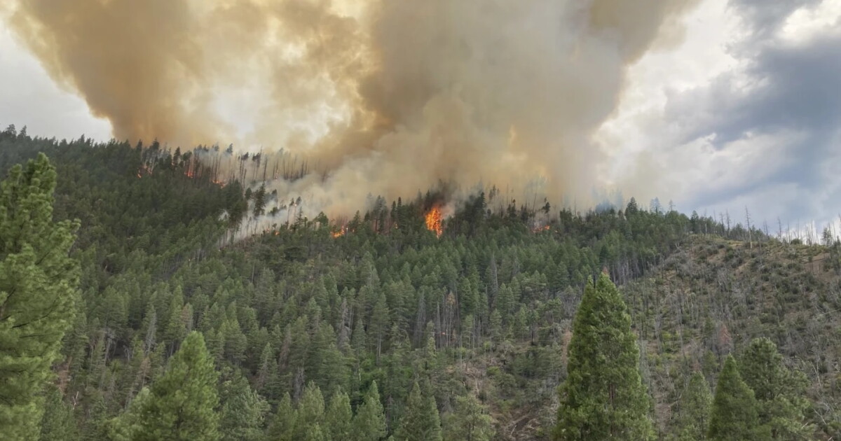 Northern California wildfire forces evacuations near site of deadly 2022 blaze - Vimarsana News