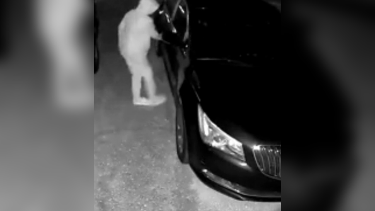 Police see up-tick in "car hopping" incidents in Tampa Bay