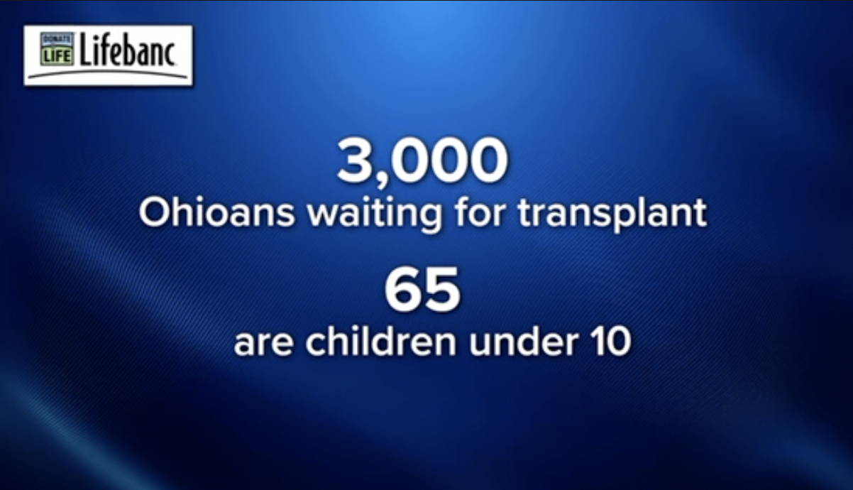 Screen Shot 2023-02-10 at 11.18.21 AM.png