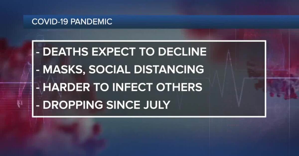 Ask Dr Nandi Covid 19 Deaths Should Start Dropping Across Us By Next Week Cdc Chief Says