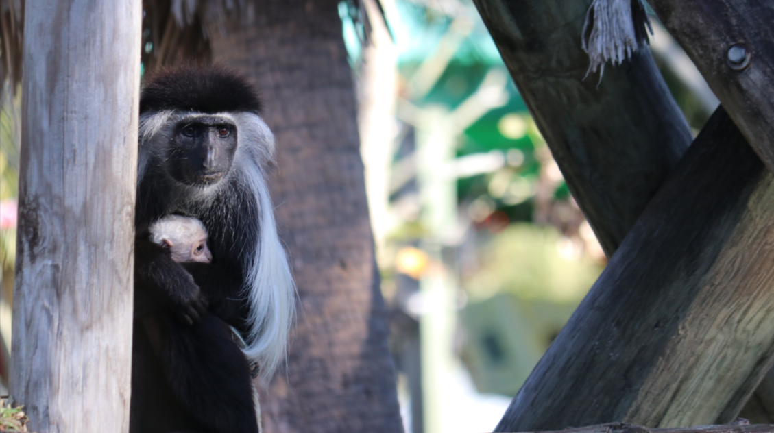 Screenshot 2025-12-10 132706.png