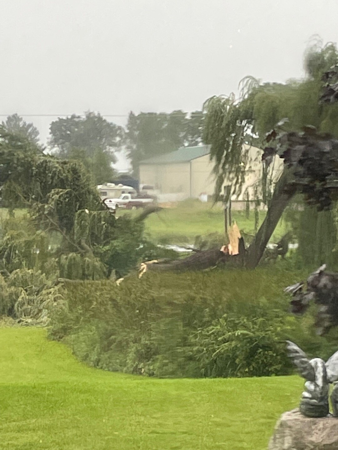 Storm Damage 1.jpg