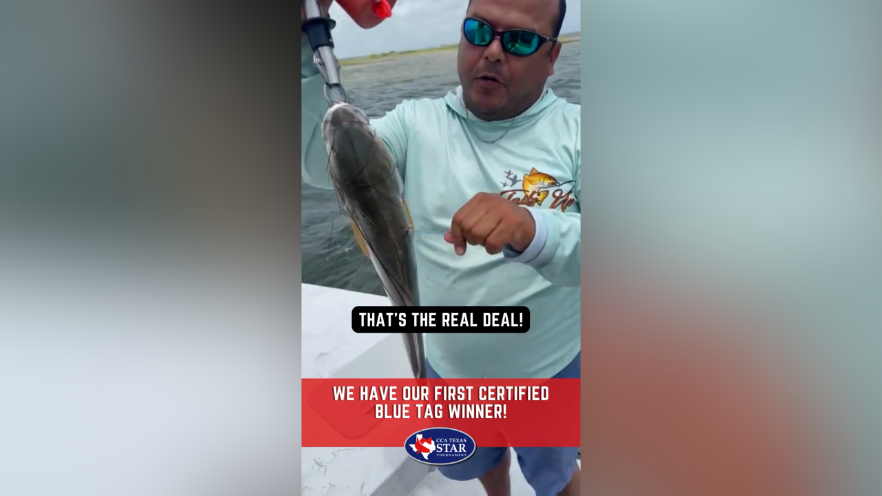 Adrian Gutierrez.png