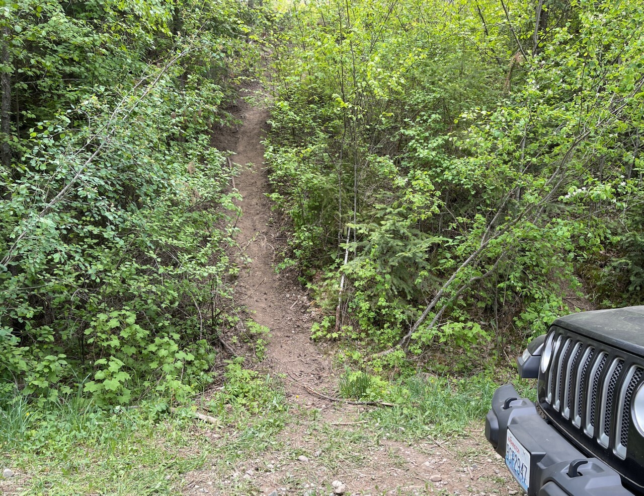 thumbnail_How unauthorized trails grow.jpg