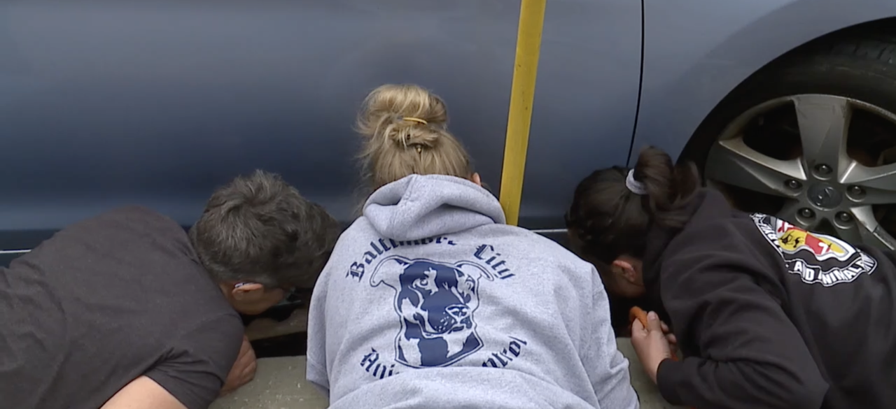 Animal control + animal cruelty workers in the duck saving process