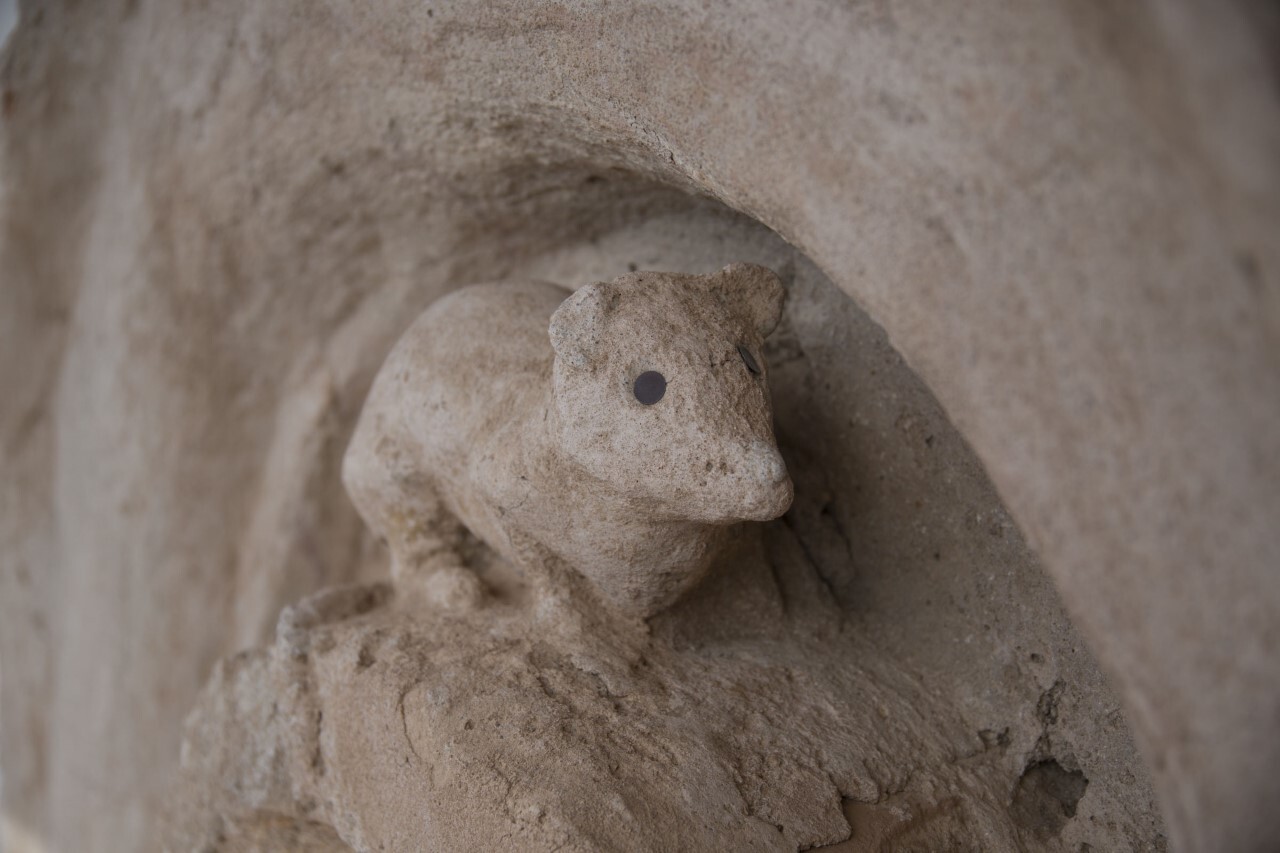 Mouse with nails for eyes at San Xavier del Bac