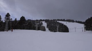 Poster image (1).jpg