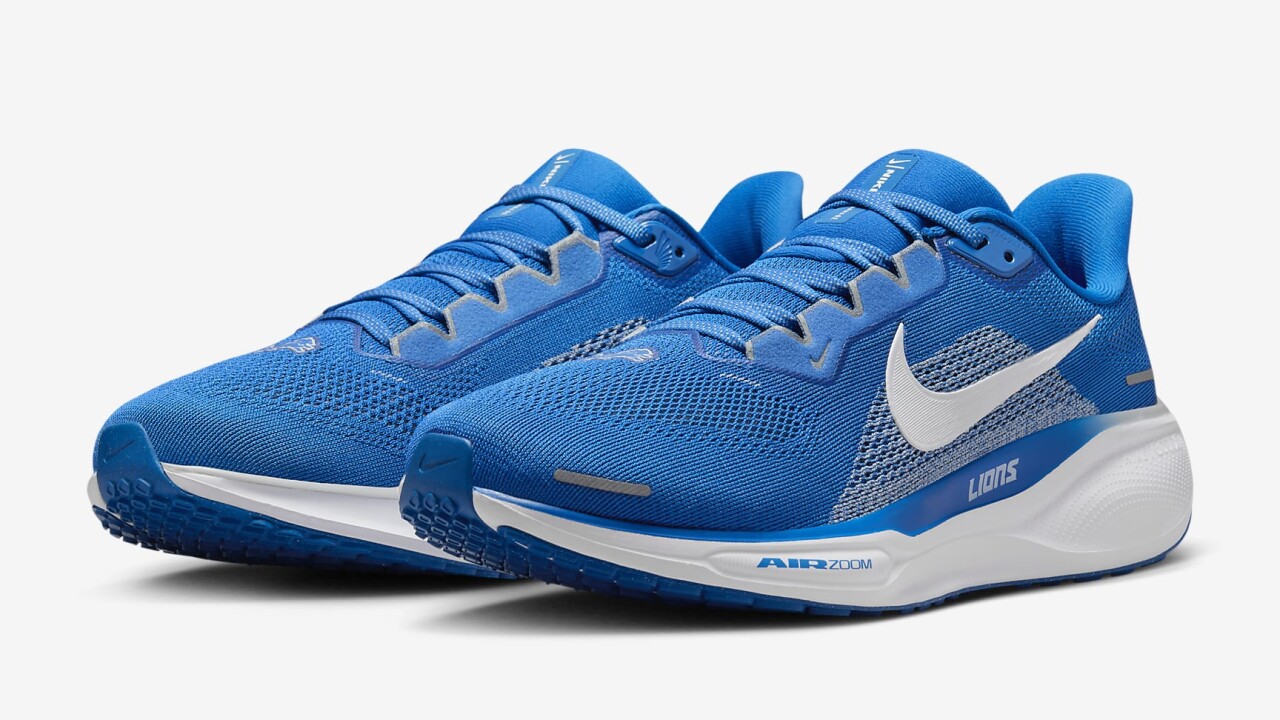 nike lions pegasus - 5.jpg