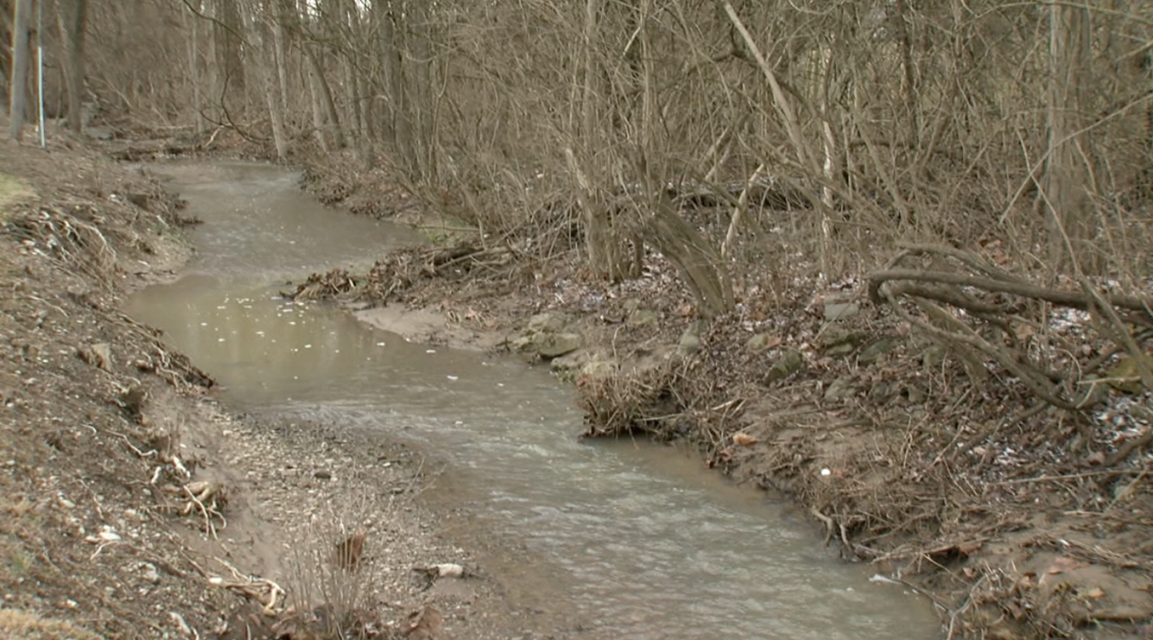 A creek in Newtown near the entrance to Ivy Hills Country Club.