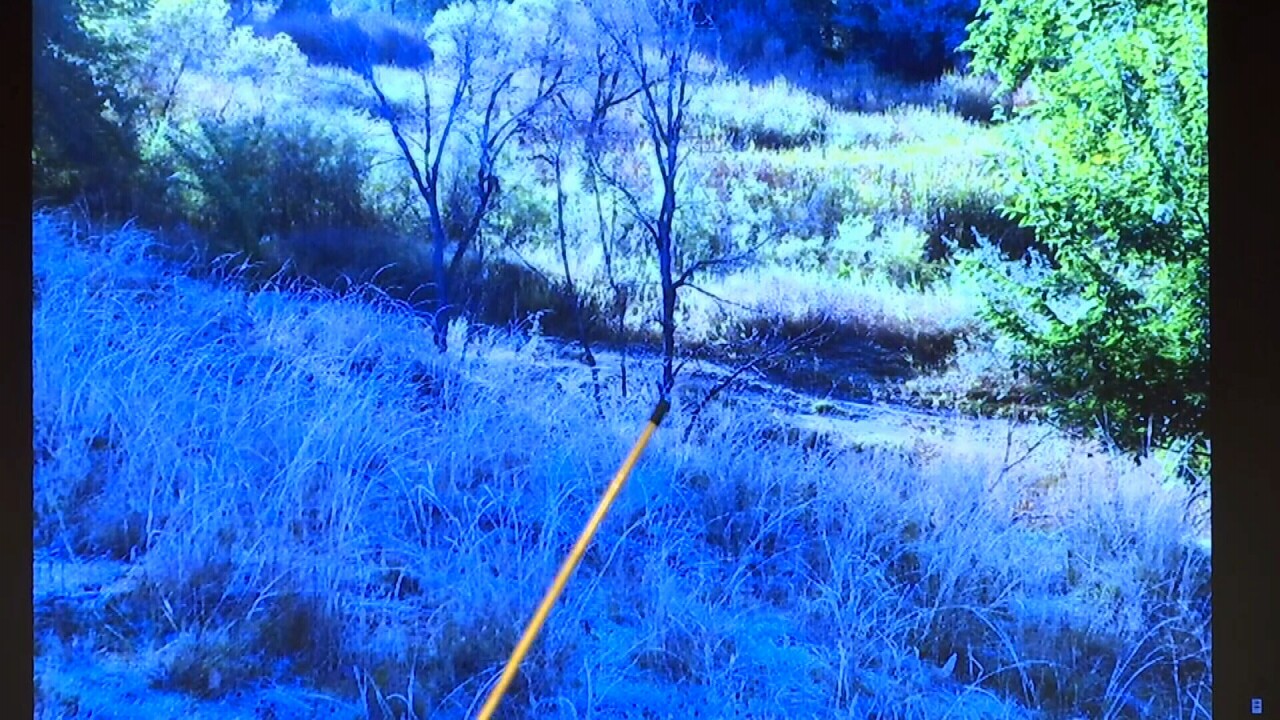 031721 BODY FOUND TREE.jpg