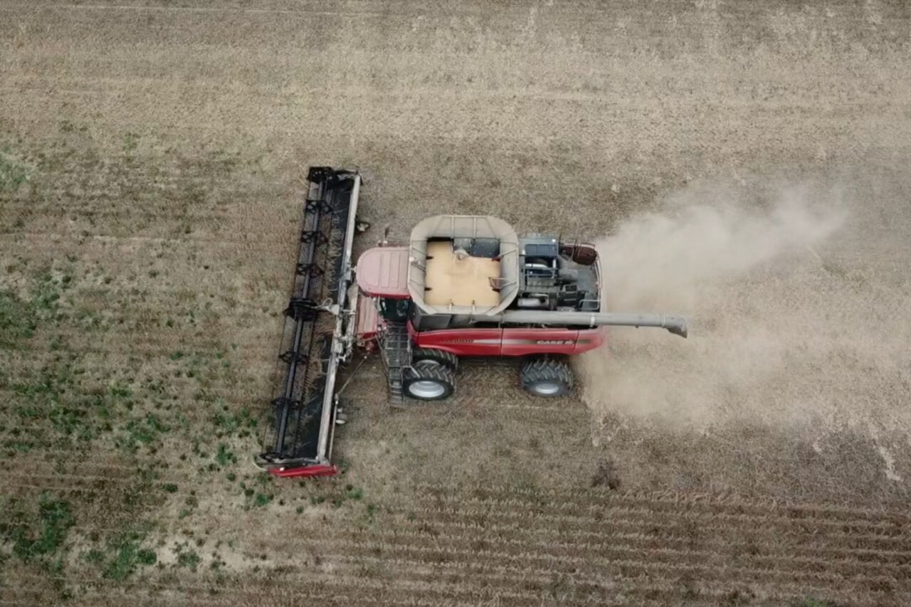 Ohio soybeans 1