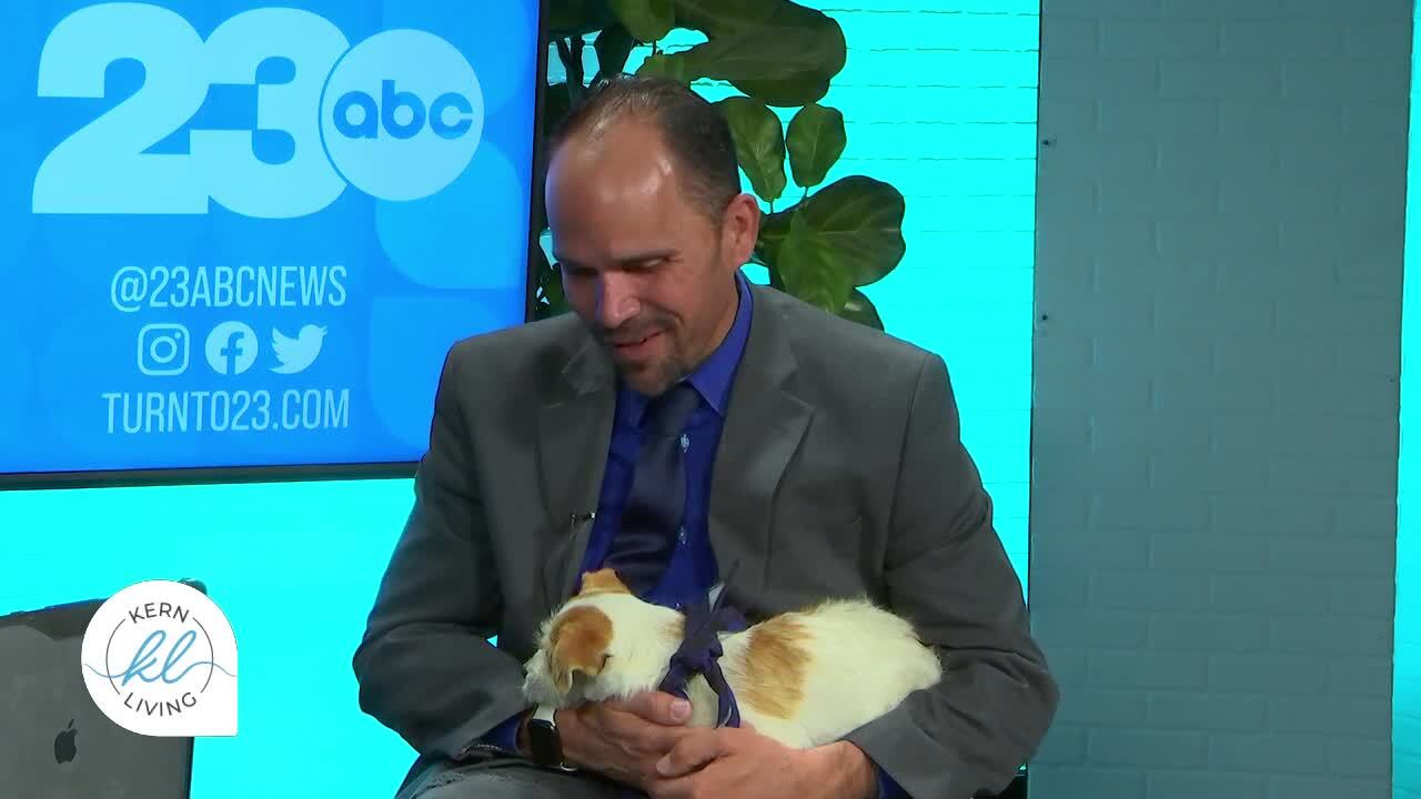 Nick Cullen with Bristol the Puppy