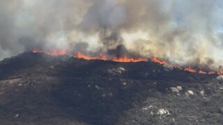 Steele Fire -- Jamul 7/9/25
